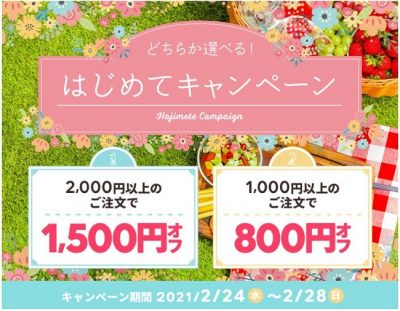 注文金額で選べる「1500円OFF」「800円OFF」
