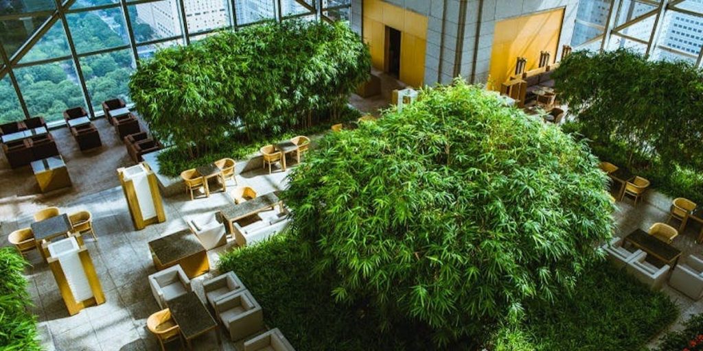 パーク ハイアット 東京のアフタヌーンティー